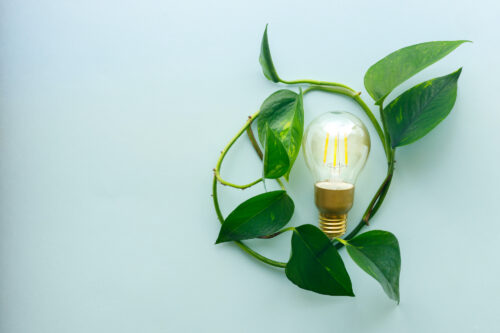 Innovative Waste Management Practices for a Sustainable World