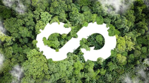 How Circular Economy is Changing the Future of Recycling